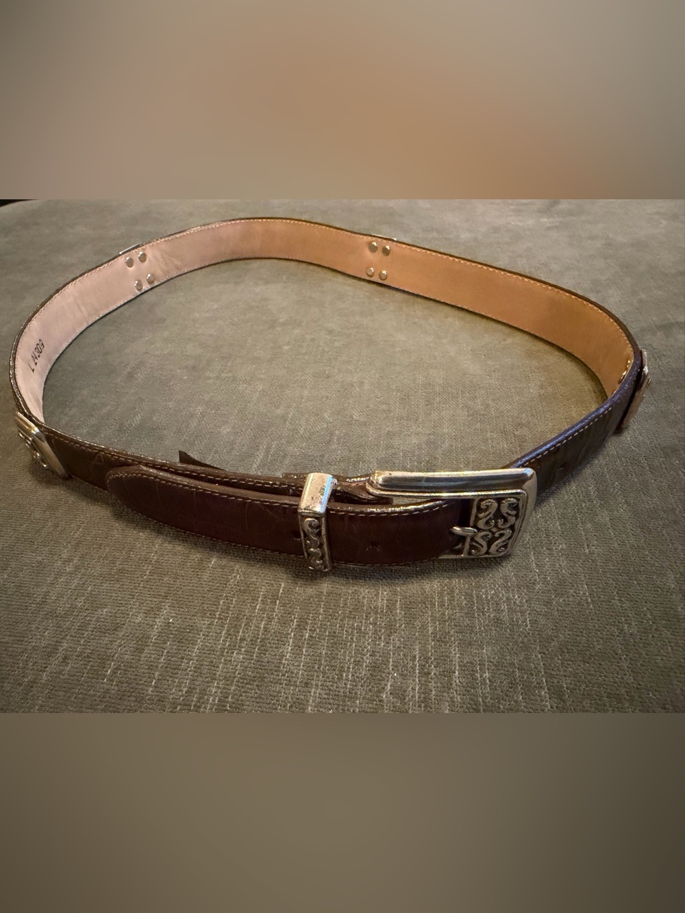 Gorgeous Large Brighton Dark Brown Belt EUC